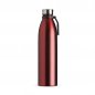 Garrafa-Inox-1-1L-VERMELHO-17593-1699898954.jpg