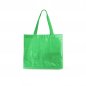 Sacola-Plastica-VERDE-20973-1728071429.jpg