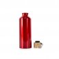 Garrafa-de-Aluminio-500ml-16868d2-1690568780.jpg