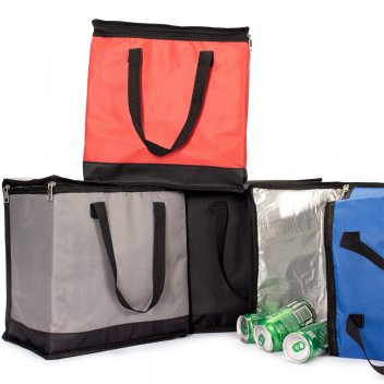 Bolsa-Termica-20-Litros-23758-1752525038.jpg
