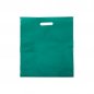 Sacola-Plastica-VERDE-17621-1699013901.jpg