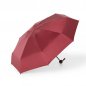 Guarda-chuva-UPF50-VINHO-17698-1701887328.jpg