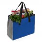 Sacola-Poliester-25L-com-Bolso-Termico-13222d5-1627559231.jpg