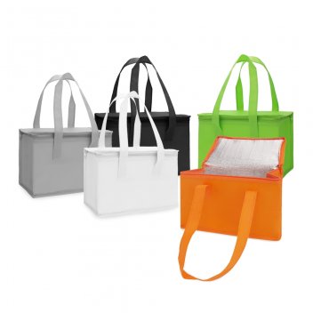 Bolsa-Termica-6-Litros-17303d1-1695912665.jpg