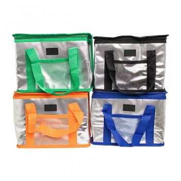 Bolsa-Termica-9-5-Litros-21356d1-1730828282.jpg