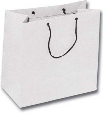 SAC015.jpg