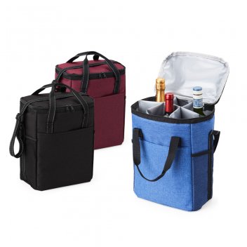 Bolsa-Termica-16-Litros-18026d1-1706897843.jpg