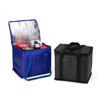 Bolsa-Termica-12-Litros-18788d1-1712004138.jpg