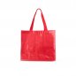 Sacola-Plastica-VERMELHO-20554-1728071449.jpg